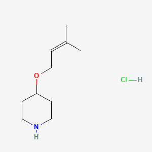 molecular formula C10H20ClNO B1421024 4-[(3-Methyl-2-butenyl)oxy]piperidine hydrochloride CAS No. 1185044-73-8