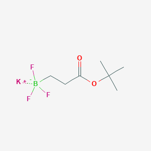 molecular formula C7H13BF3KO2 B1421070 Potassium 3-trifluoroboratopropionate tert-butyl ester CAS No. 1023357-66-5