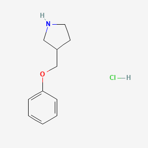 molecular formula C11H16ClNO B1421077 3-(Phenoxymethyl)pyrrolidine hydrochloride CAS No. 1185299-28-8