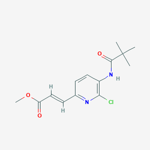 molecular formula C14H17ClN2O3 B1421080 Methyl 3-(6-chloro-5-pivalamidopyridin-2-YL)-acrylate CAS No. 1142192-21-9