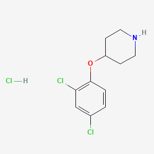 molecular formula C11H14Cl3NO B1421088 4-(2,4-Dichlorophenoxy)piperidine hydrochloride CAS No. 1185298-41-2