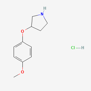 molecular formula C11H16ClNO2 B1421089 3-(4-Methoxyphenoxy)pyrrolidine hydrochloride CAS No. 23123-09-3