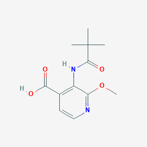 molecular formula C12H16N2O4 B1421093 2-Methoxy-3-pivalamidoisonicotinic acid CAS No. 705291-48-1