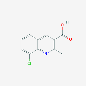 molecular formula C11H8ClNO2 B1421097 8-Chloro-2-methylquinoline-3-carboxylic acid CAS No. 1089898-90-7