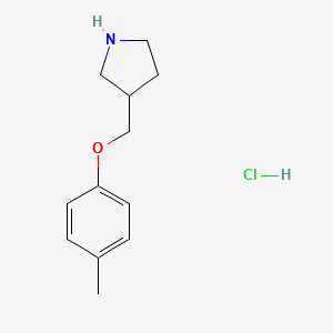 molecular formula C12H18ClNO B1421099 3-[(4-甲基苯氧基)甲基]吡咯烷盐酸盐 CAS No. 1185298-42-3