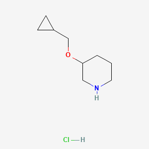 molecular formula C9H18ClNO B1421111 3-(Cyclopropylmethoxy)piperidine hydrochloride CAS No. 1185301-38-5