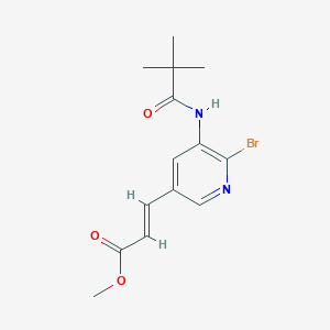 B1421126 Methyl 3-(6-bromo-5-pivalamidopyridin-3-YL)-acrylate CAS No. 1171919-95-1