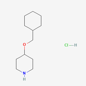 molecular formula C12H24ClNO B1421133 4-(Cyclohexylmethoxy)piperidine hydrochloride CAS No. 1185298-81-0