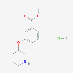 molecular formula C13H18ClNO3 B1421148 Methyl 3-(3-piperidinyloxy)benzoate hydrochloride CAS No. 1185297-89-5