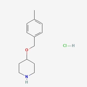 molecular formula C13H20ClNO B1421149 4-((4-Methylbenzyl)oxy)piperidine hydrochloride CAS No. 1185165-54-1