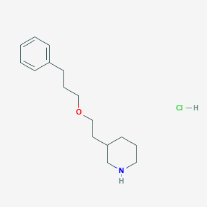 molecular formula C16H26ClNO B1421151 3-[2-(3-Phenylpropoxy)ethyl]piperidine hydrochloride CAS No. 1185298-13-8