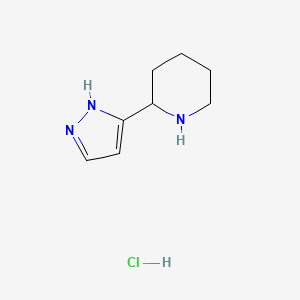 molecular formula C8H14ClN3 B1421171 2-(1H-Pyrazol-3-yl)-piperidine hydrochloride CAS No. 1185301-67-0