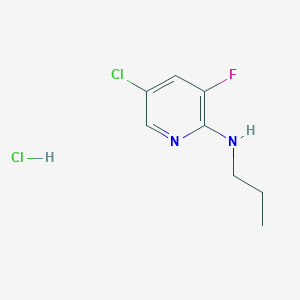 molecular formula C8H11Cl2FN2 B1421190 5-氯-3-氟-2-(N-丙基氨基)吡啶盐酸盐 CAS No. 1073372-11-8