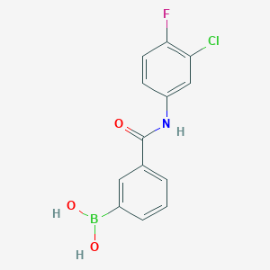 molecular formula C13H10BClFNO3 B1421191 N-(3-Chloro-4-fluorophenyl) 3-boronobenzamide CAS No. 1072946-04-3