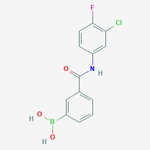 molecular formula C13H10BClFNO3 B1421191 (3-((3-Chloro-4-fluorophenyl)carbamoyl)phenyl)boronic acid CAS No. 1072946-04-3