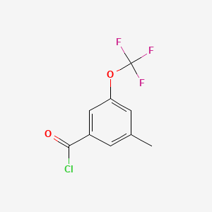 molecular formula C9H6ClF3O2 B1421194 3-甲基-5-(三氟甲氧基)苯甲酰氯 CAS No. 916420-52-5