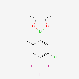molecular formula C14H17BClF3O2 B1421200 2-(5-Chloro-2-methyl-4-(trifluoromethyl)phenyl)-4,4,5,5-tetramethyl-1,3,2-dioxaborolane CAS No. 1073353-97-5