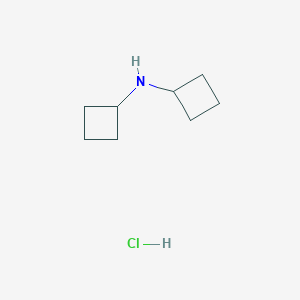 molecular formula C8H16ClN B1421231 二环丁基胺盐酸盐 CAS No. 90203-81-9