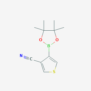 molecular formula C11H14BNO2S B1421302 4-(4,4,5,5-Tetramethyl-1,3,2-dioxaborolan-2-yl)thiophene-3-carbonitrile CAS No. 1073354-61-6