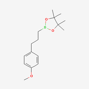molecular formula C16H25BO3 B1421303 2-[3-(4-Methoxyphenyl)propyl]-4,4,5,5-tetramethyl-1,3,2-dioxaborolane CAS No. 1073371-72-8
