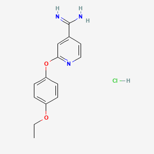 molecular formula C14H16ClN3O2 B1421349 2-(4-Ethoxyphenoxy)pyridine-4-carboximidamide hydrochloride CAS No. 1221724-05-5