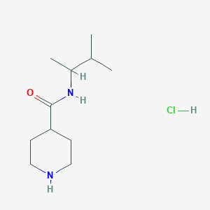 molecular formula C11H23ClN2O B1421354 N-(3-methylbutan-2-yl)piperidine-4-carboxamide hydrochloride CAS No. 1235440-41-1