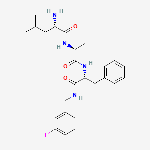 molecular formula C25H33IN4O3 B14214434 L-Leucyl-L-alanyl-N-[(3-iodophenyl)methyl]-D-phenylalaninamide CAS No. 824406-91-9