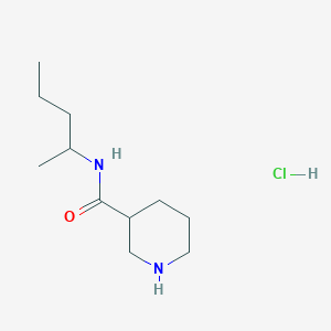 molecular formula C11H23ClN2O B1421457 N-(pentan-2-yl)piperidine-3-carboxamide hydrochloride CAS No. 1235440-21-7