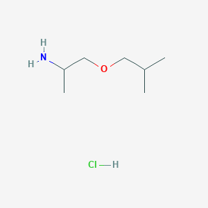 molecular formula C7H18ClNO B1421465 1-(2-Methylpropoxy)propan-2-amine hydrochloride CAS No. 1240529-05-8
