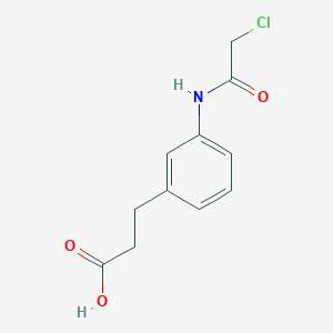 molecular formula C11H12ClNO3 B1421590 N-chloroacetyl-3-aminophenylpropionic acid CAS No. 1221792-58-0