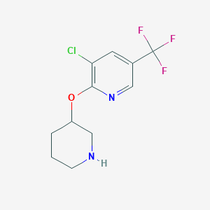3-Chloro-2-(piperidin-3-yloxy)-5-(trifluoromethyl)pyridine