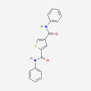 molecular formula C18H14N2O2S B14219500 N~2~,N~4~-Diphenylthiophene-2,4-dicarboxamide CAS No. 824953-91-5