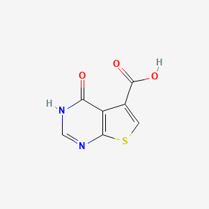 molecular formula C7H4N2O3S B1422035 4-Oxo-1,4-dihydrothieno[2,3-d]pyrimidine-5-carboxylic acid CAS No. 1216288-05-9