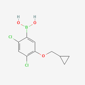 molecular formula C10H11BCl2O3 B1422108 2,4-Dichloro-5-(cyclopropylmethoxy)phenylboronic acid CAS No. 1256354-91-2