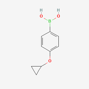 molecular formula C9H11BO3 B1422113 4-环丙氧苯基硼酸 CAS No. 871829-90-2