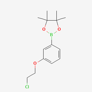 molecular formula C14H20BClO3 B1422121 2-(3-(2-Chloroethoxy)phenyl)-4,4,5,5-tetramethyl-1,3,2-dioxaborolane CAS No. 1256359-00-8