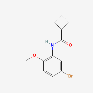 N-(5-bromo-2-methoxyphenyl)cyclobutanecarboxamide
