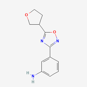 molecular formula C12H13N3O2 B1422479 3-[5-(Oxolan-3-yl)-1,2,4-oxadiazol-3-yl]aniline CAS No. 1244030-98-5