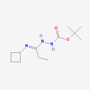 molecular formula C12H23N3O2 B1422583 N'-[1-Cyclobutylaminopropylidene]hydrazinecarboxylic acid tert-butyl ester CAS No. 1053657-78-5
