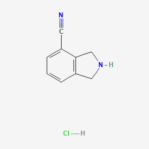 molecular formula C9H9ClN2 B1422593 Isoindoline-4-carbonitrile hydrochloride CAS No. 1159825-57-6