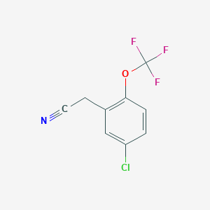 molecular formula C9H5ClF3NO B1422783 5-Chloro-2-(trifluoromethoxy)phenylacetonitrile CAS No. 1092461-20-5