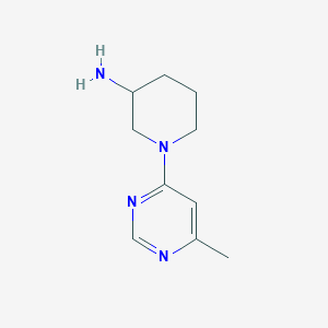 molecular formula C10H16N4 B1422906 1-(6-Methylpyrimidin-4-yl)piperidin-3-amine CAS No. 1247748-92-0
