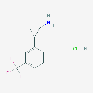 molecular formula C10H11ClF3N B1422955 2-[3-(Trifluoromethyl)phenyl]cyclopropan-1-amine hydrochloride CAS No. 2711-56-0