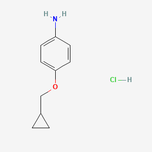 molecular formula C10H14ClNO B1422979 4-(Cyclopropylmethoxy)aniline hydrochloride CAS No. 1158573-73-9