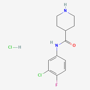 molecular formula C12H15Cl2FN2O B1423036 N-(3-chloro-4-fluorophenyl)piperidine-4-carboxamide hydrochloride CAS No. 1306607-04-4