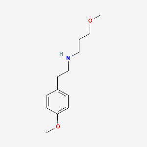 molecular formula C13H21NO2 B1423041 [2-(4-Methoxyphenyl)ethyl](3-methoxypropyl)amine CAS No. 1184458-35-2