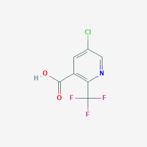 molecular formula C7H3ClF3NO2 B1423198 5-Chloro-2-(trifluoromethyl)nicotinic acid CAS No. 823222-02-2