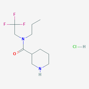 molecular formula C11H20ClF3N2O B1423341 N-propyl-N-(2,2,2-trifluoroethyl)piperidine-3-carboxamide hydrochloride CAS No. 1354960-96-5