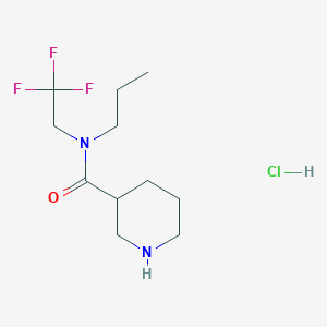 N-propyl-N-(2,2,2-trifluoroethyl)piperidine-3-carboxamide hydrochloride