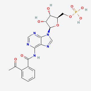 molecular formula C19H20N5O9P B14235121 N-(2-Acetylbenzoyl)adenosine 5'-(dihydrogen phosphate) CAS No. 398133-26-1
